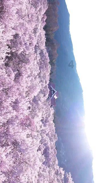 进击的战神